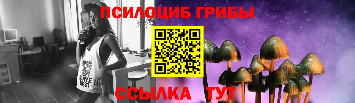 Галлюциногенные грибы мицелий  Вход с VPN  Унеча  купить закладку  Псилоцибиновые грибы MAGIC MUSHROOMS 